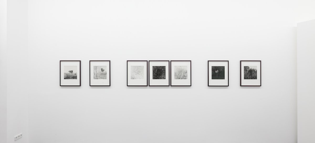 Arno Schidlowski: »Der Sonne Mond«, 2011-2013, Installationsansicht | Installation view Kehrer Galerie, 2015