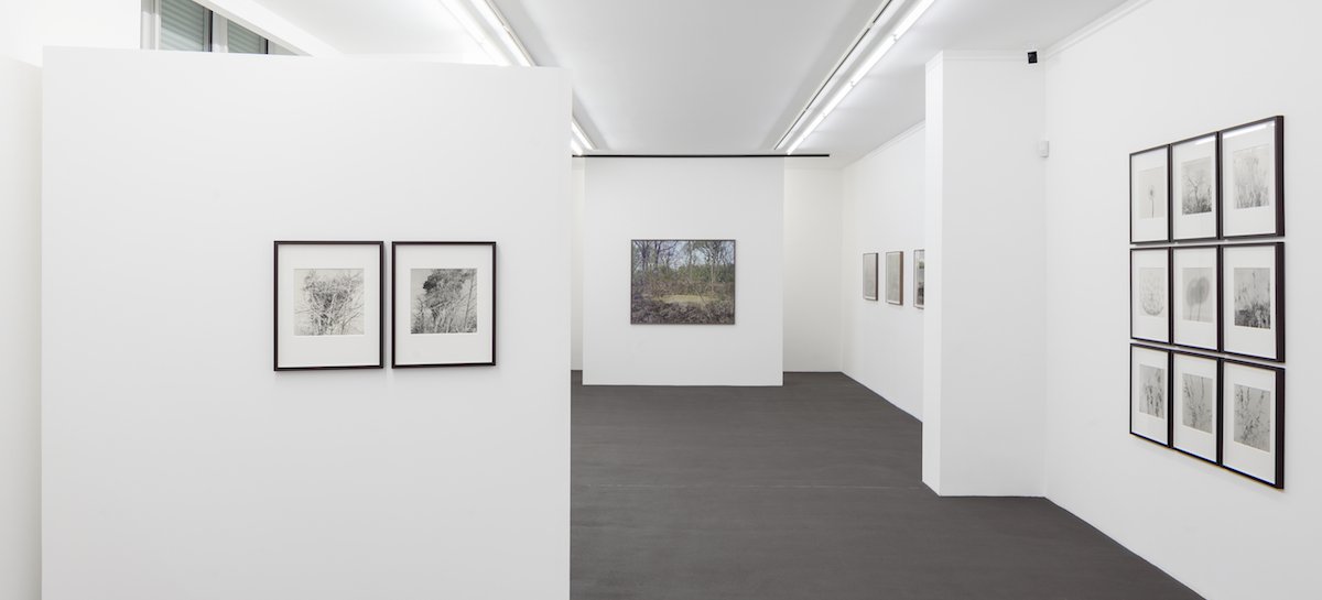 »Lob der Wildnis | Serial Landscape«, Installationsansicht | Installation view Kehrer Galerie, 2015
