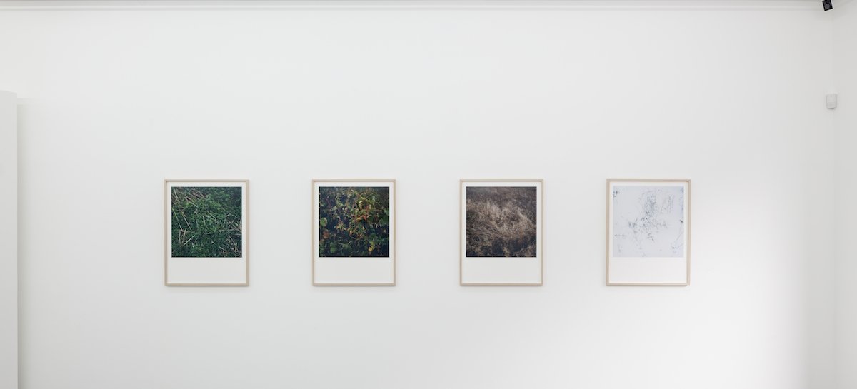 Anne Schwalbe: »Wiese«, 2009-2011 & »Wiese XXI - XLVIII«, 2011-2013, C-Prints, Ed. 5 + 2 AP,  je | each: 55 x 55 cm, Installationsansicht | Installation view Kehrer Galerie, 2015