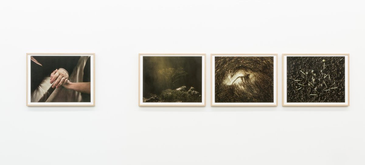 Elis Hoffman: »Fading«, Installationsansicht | Exhibition view Kehrer Galerie, 2017.