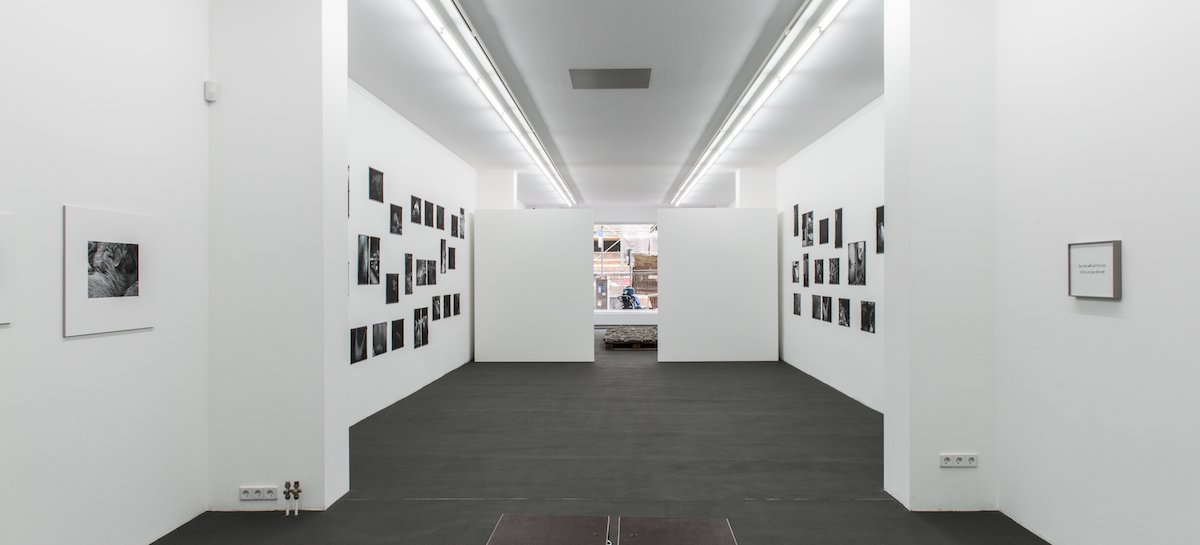 K49814 »Atmen ohne Pause«. Installationsansicht | Installation view Kehrer Galerie, 2015