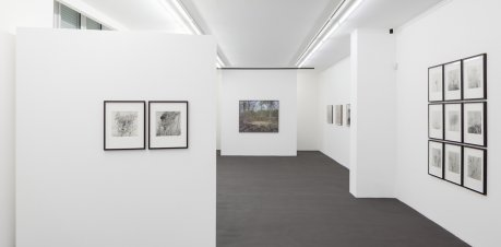 »Lob der Wildnis | Serial Landscape«, Installationsansicht | Installation view Kehrer Galerie, 2015