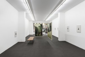 Gregor Neuerer »Pollen«, Installationsansicht | Installation view: Kehrer Galerie, 2015